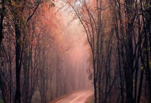 米兰体育：上季球员锦标赛至今 “战胜丁俊晖后下一场必输.