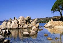 [天下足球]聚勒送大礼 多特蒙德不敌波鸿.